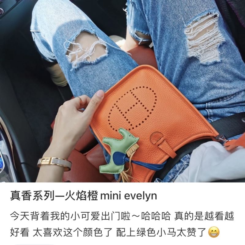 Hermes Evelyn Bags